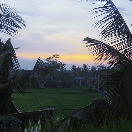 Eden House Ubud Bed and Breakfast Exterior foto