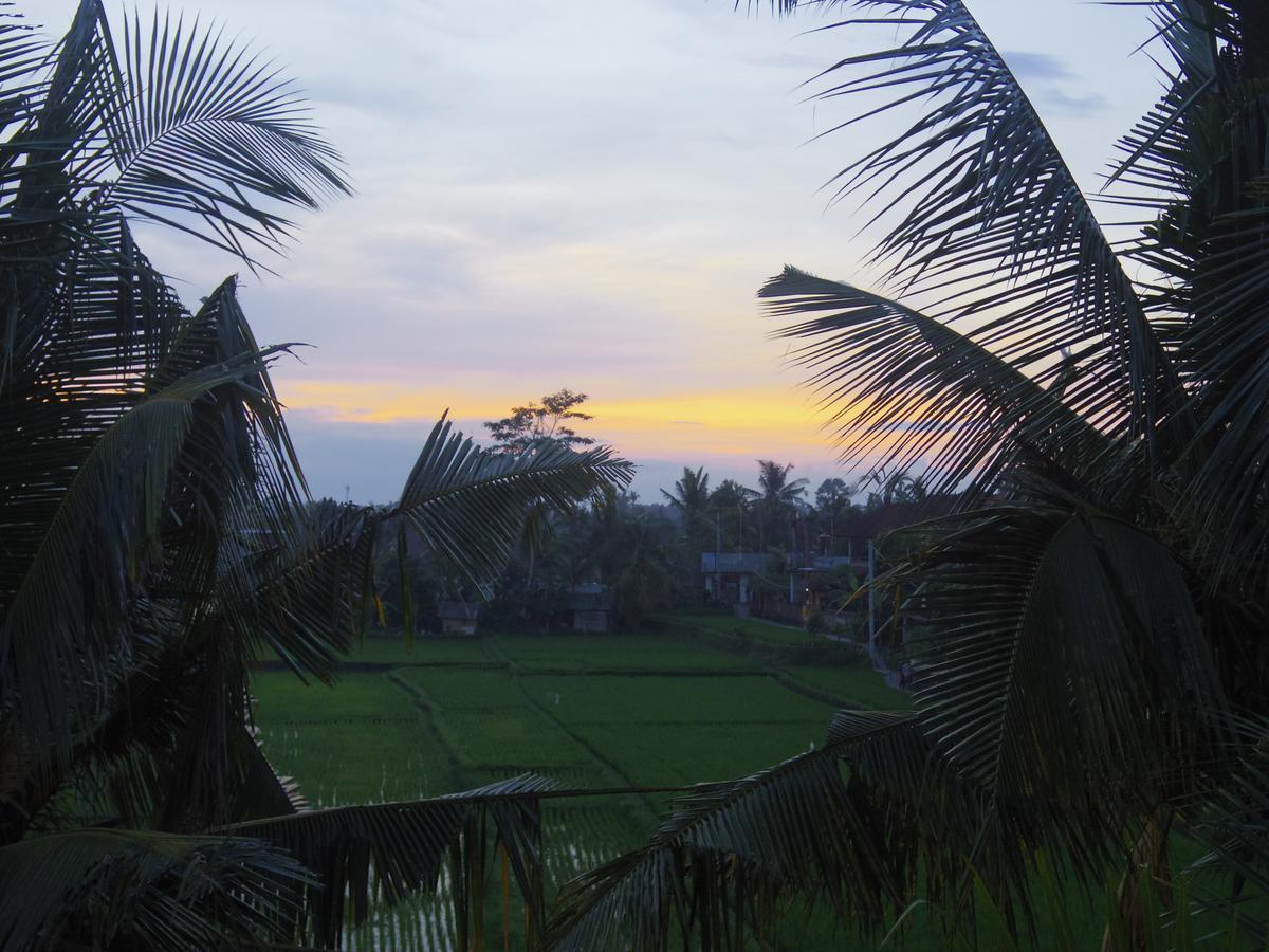 Eden House Ubud Bed and Breakfast Exterior foto