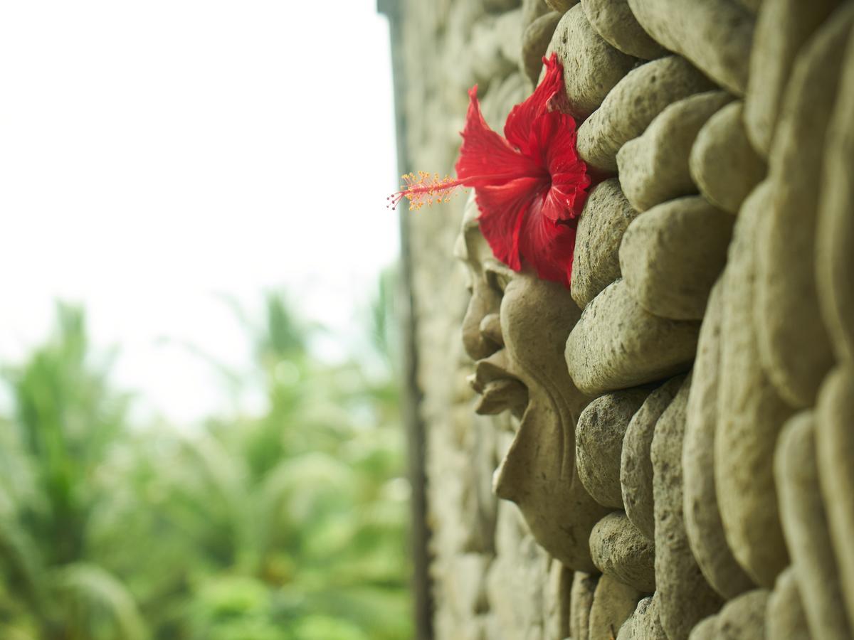 Eden House Ubud Bed and Breakfast Exterior foto