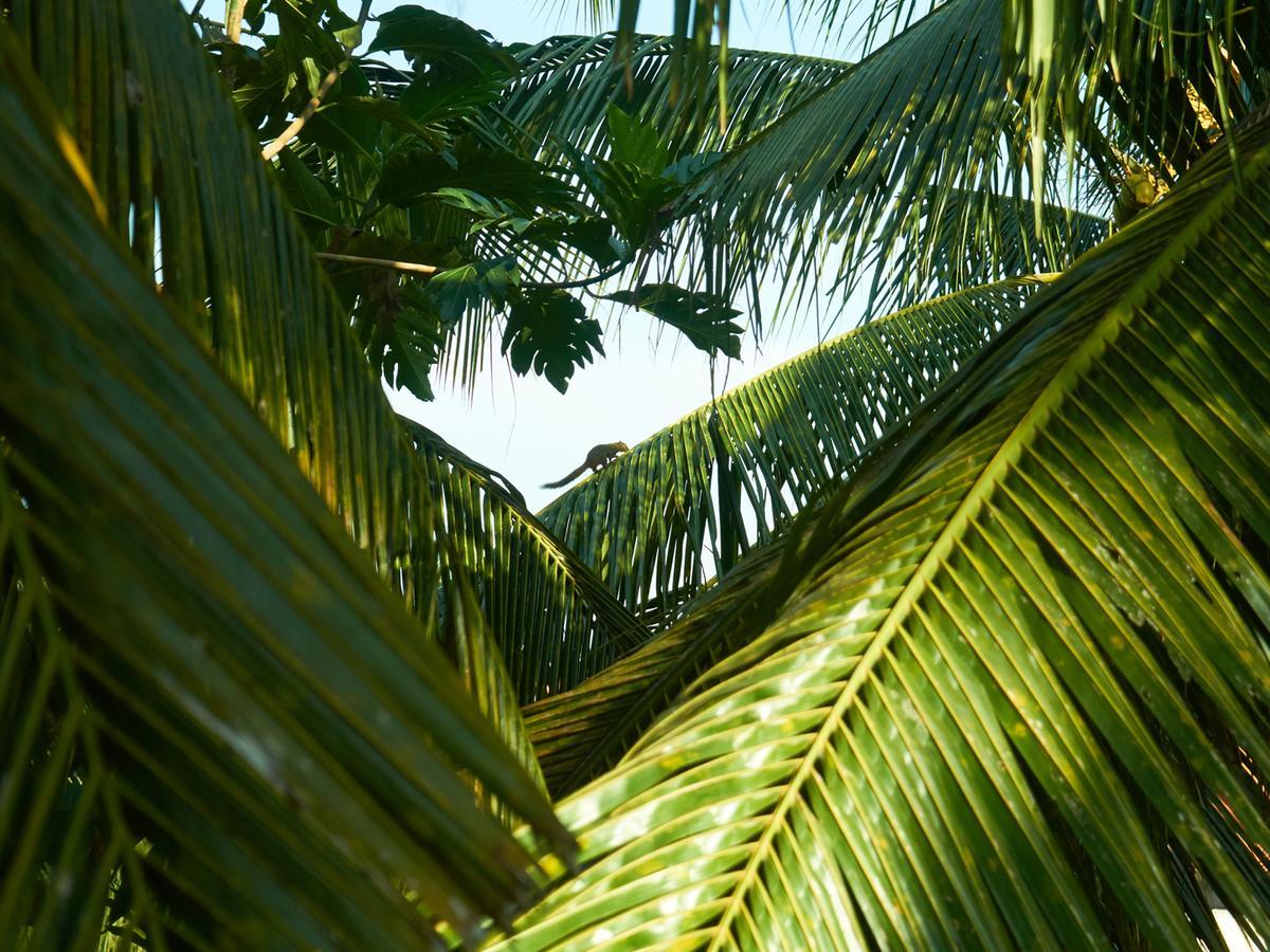 Eden House Ubud Bed and Breakfast Exterior foto